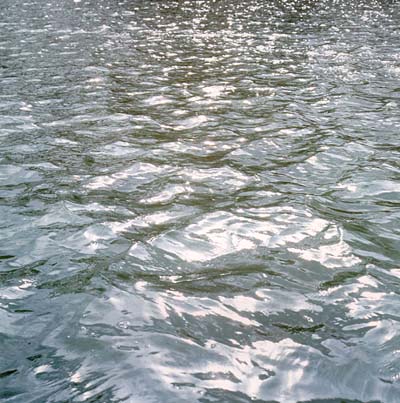 "Let there be an expanse between the waters"